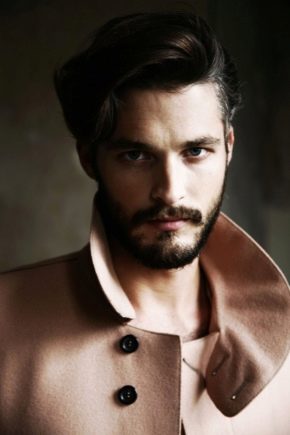 Erkek saç kesimi Kanadalı: çeşitleri, artıları ve eksileri