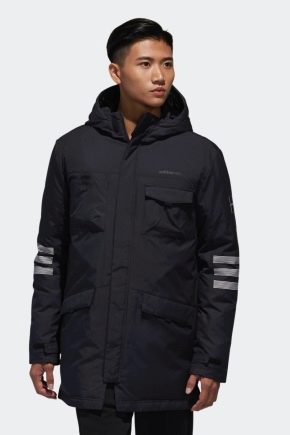 Herren Daunenjacken adidas