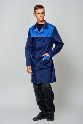 Работни рокли за мъже: разновидности и правила на работа