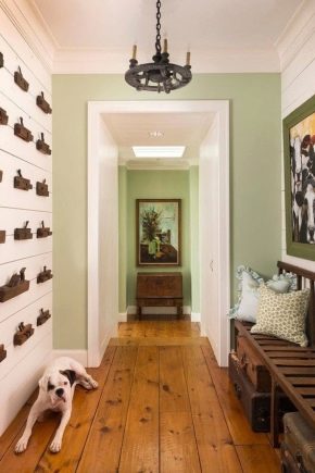 Todo sobre la decoración del pasillo.