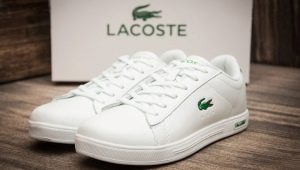 Мъжки маратонки Lacoste: характеристики и избор