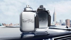 erkekler için antrenör