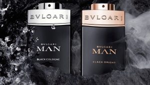 Bvlgari erkek parfümeri açıklaması
