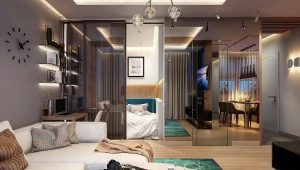 Entwurf einer Einzimmerwohnung mit einer Fläche von 35 qm. m