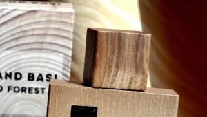 Parfums boisés pour hommes