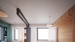 Modernes Design von Einzimmerwohnungen