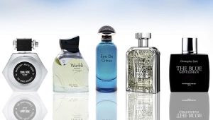 Parfums frais pour hommes