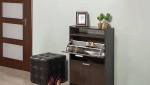 Eine Kommode für Schuhe im Flur wählen