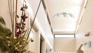 Was sind die Wandlampen im Flur und wie wählt man sie aus?