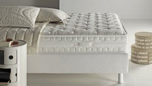 Şiltelerin gözden geçirilmesi Promtex-Orient