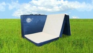 Konkord şiltelerin açıklaması