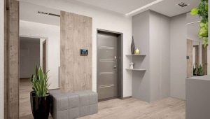 Flur im Stil des Minimalismus