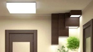 Schattenliebende Zimmerpflanzen für den Flur