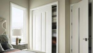 Yatak odası için kapı seçimi