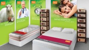 Vega yatakların özellikleri