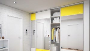 Kleiderschränke 40 cm tief im Flur