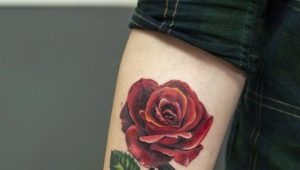 Übersicht der Männertattoos in Form einer Rose am Arm und deren Lage