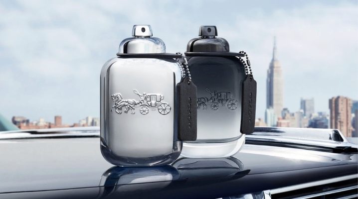 Trainer für Männer