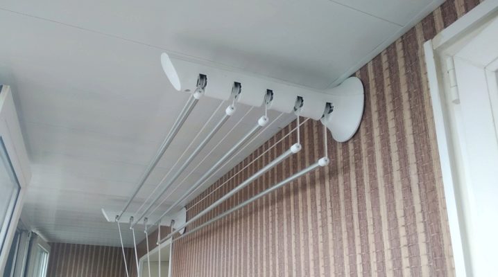 How to choose a liana for drying clothes on the balcony and install it?