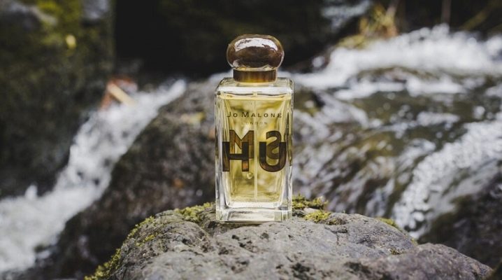 Beste Herrendüfte nach Frauen