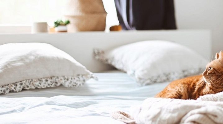 كل شيء عن مراتب ديماكس