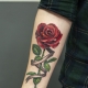 Panoramica dei tatuaggi maschili sotto forma di una rosa sul braccio e della loro posizione